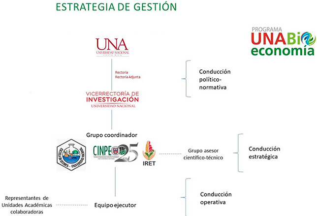 Gráfico estratégias de gestión