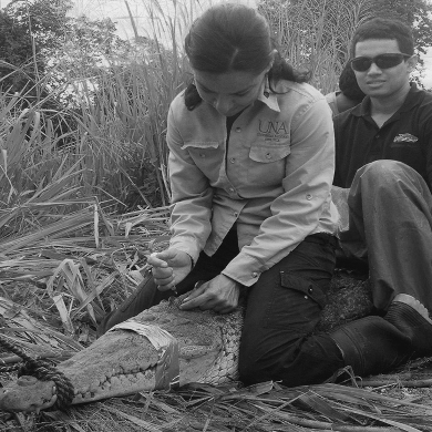 Instituto Internacional en Conservación y Manejo de Visa Silvestre