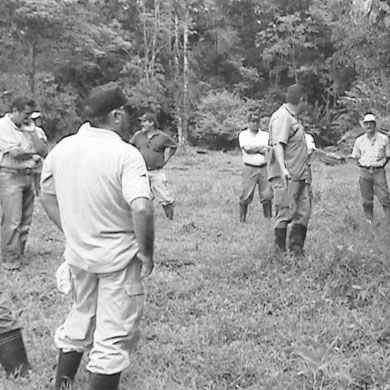 Instituto de investigaciones y Servicios Forestales